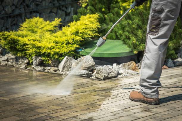 Best Driveway Cleaning and Restoration in St Marys, WV