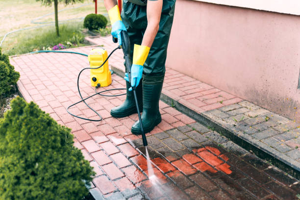 Best Soft Washing for Delicate Surfaces in St Marys, WV