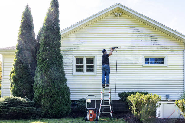 Best Sidewalk and Walkway Pressure Cleaning in St Marys, WV